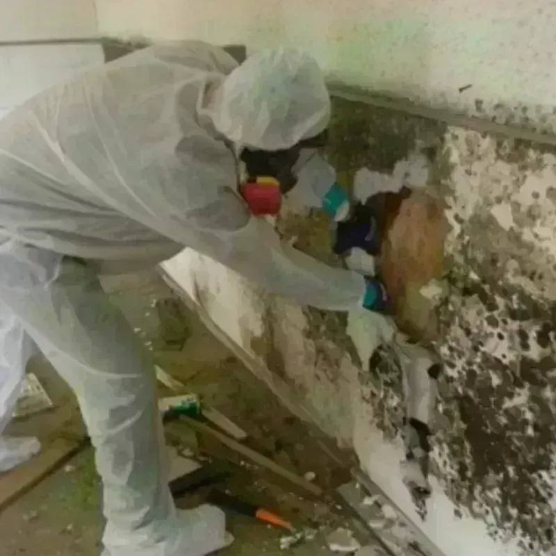 Mold Remediation and Removal in Near North Side, IL