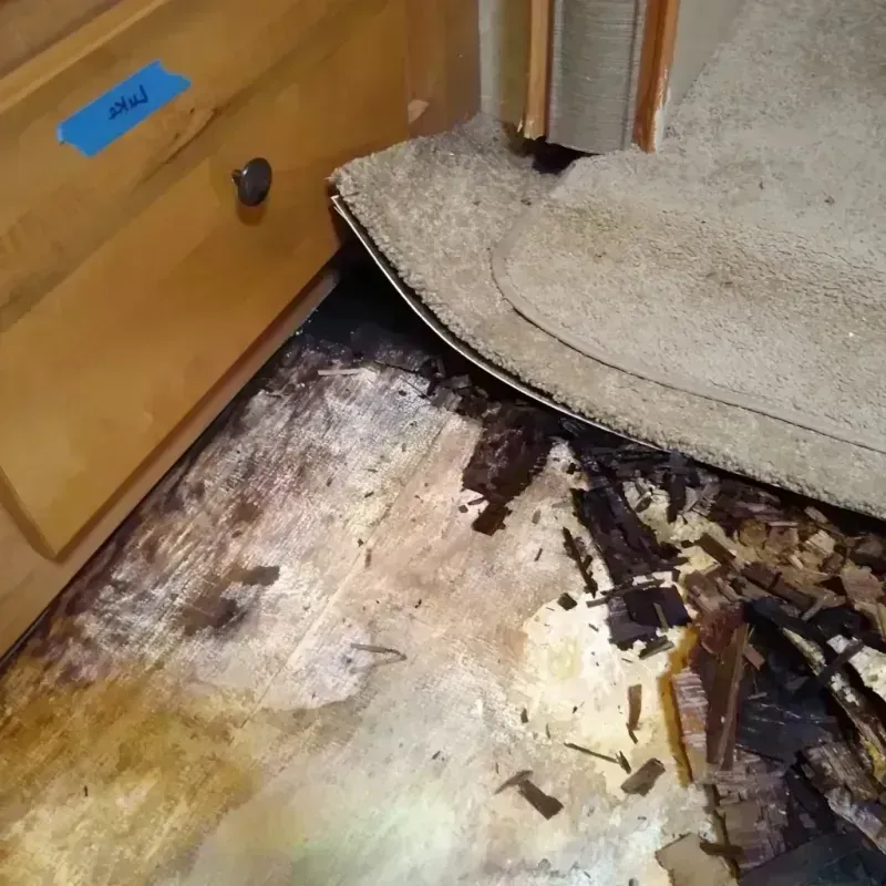 Best Wood Floor Water Damage Service in Near North Side, IL